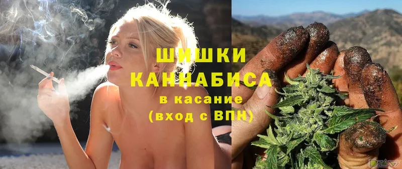 Канабис OG Kush  Гудермес 